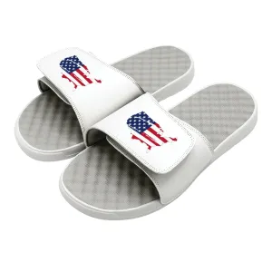 Land Of The Free Slides